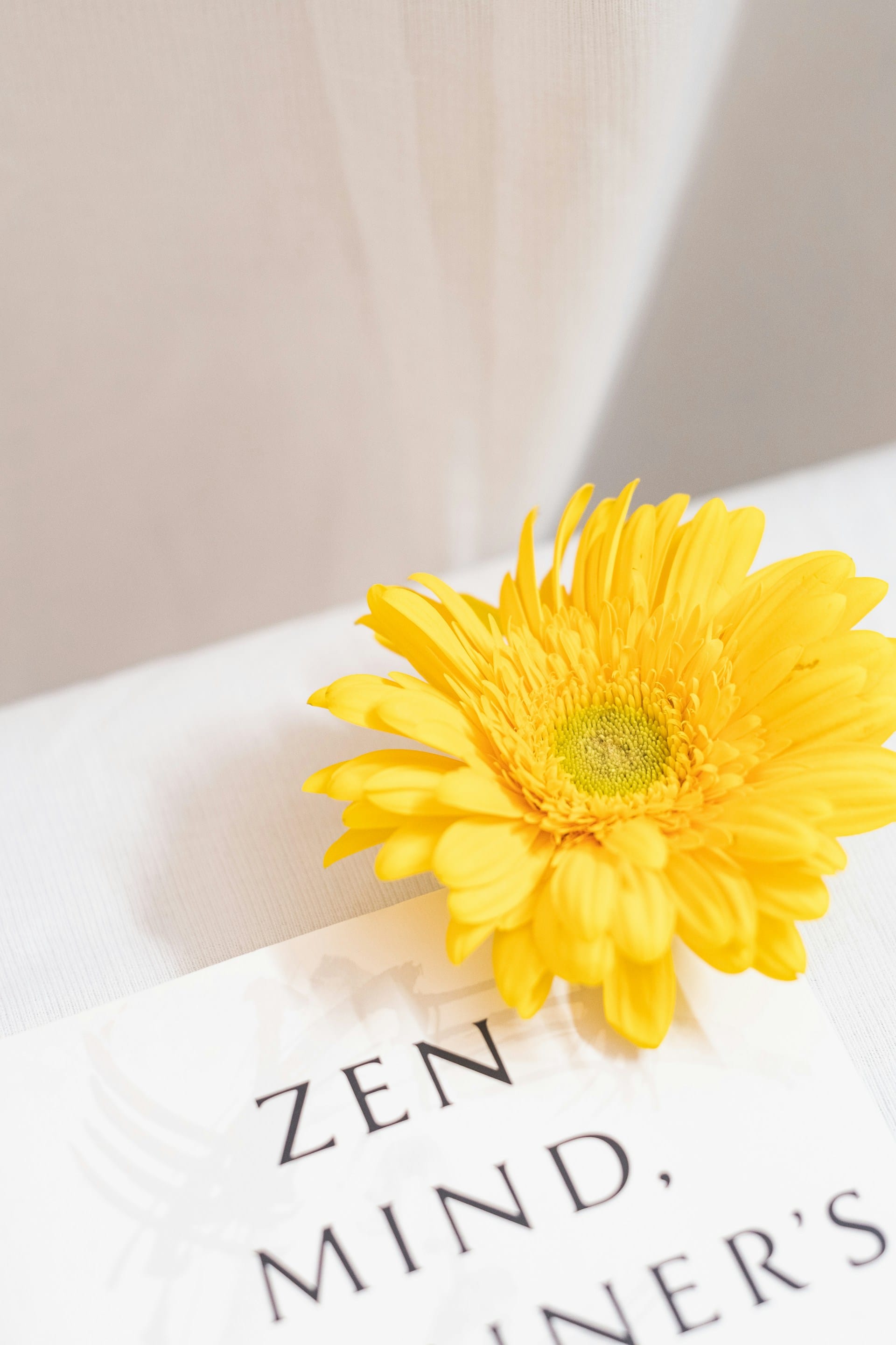 Why Analog Music is Thriving in the Digital Age